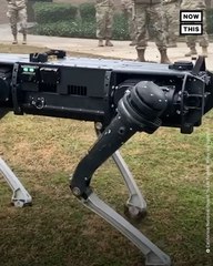 Fresno Air National Guard Base Tests Out Robot Patrol 'Dog'