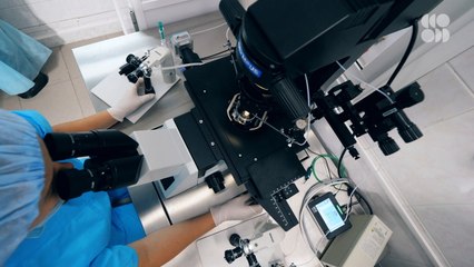 Why Scientists Might Drop the 14-Day Limit on Human Embryo Research