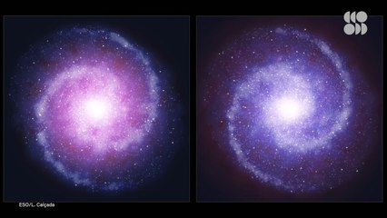 Our Universe May Be Full of Massive Dark Matter Stars