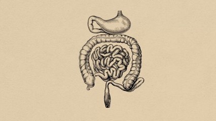 How Typhoid Can Tear Holes in Your Organs | Hindi Dub