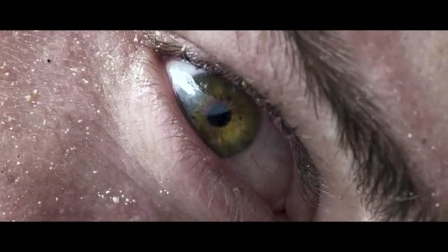 ARK : Survival Evolved Xbox One X