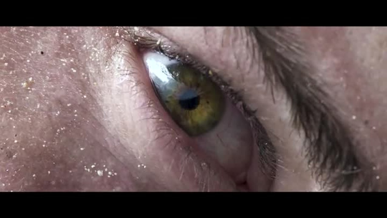 ARK : Survival Evolved Xbox One X