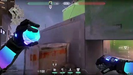 Icebox Lineup Molly B Site