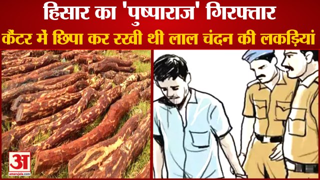 Hisar CIA Recovered Red Sandalwood Sticks From Mangalali Jatan Village|हिसार का 'पुष्पाराज' गिरफ्तार