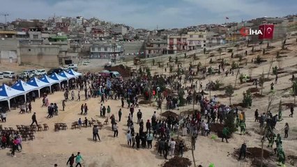 Şahinbey'deki boş arazi ormana dönüşüyor: Bin 71 ağaca ilk can suyu öğrencilerden