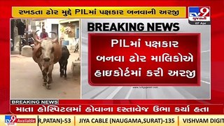 Gujarat High court dismisses petition of Cattle owners to become a party in PIL _ TV9News