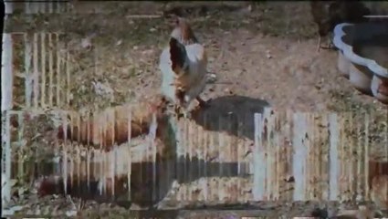 Old School Musical Switch PC Announcement Teaser