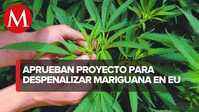 Cámara Baja de EU aprueba proyecto para despenalizar la mariguana