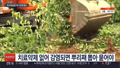 유실수 구제역 '과수화상병'…"적기에 방제해야"