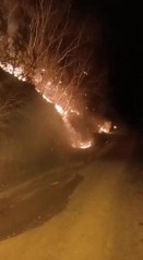 Osmaniye'deki orman yangınında 1 hektar alan zarar gördü