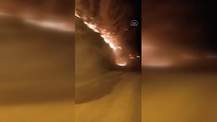 Son dakika haberi... Osmaniye'de çıkan orman yangını söndürüldü