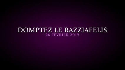 Nouvelle monture pour Guild Wars 2