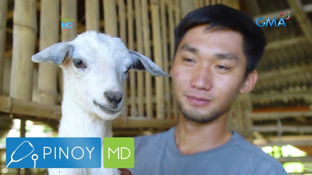 21-anyos na binata, kumikita ng libo-libo kada buwan sa pag-aalaga ng kambing! | Pinoy MD