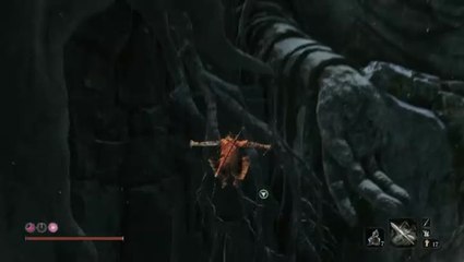 Sekiro Shadows Die Twice : Singe gardien