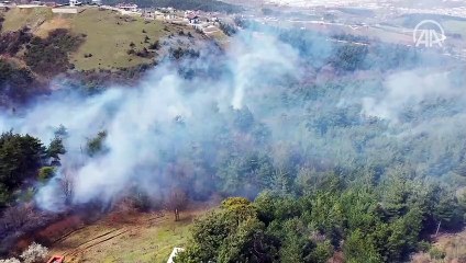 Bursa'da ormanlık alanda yangın