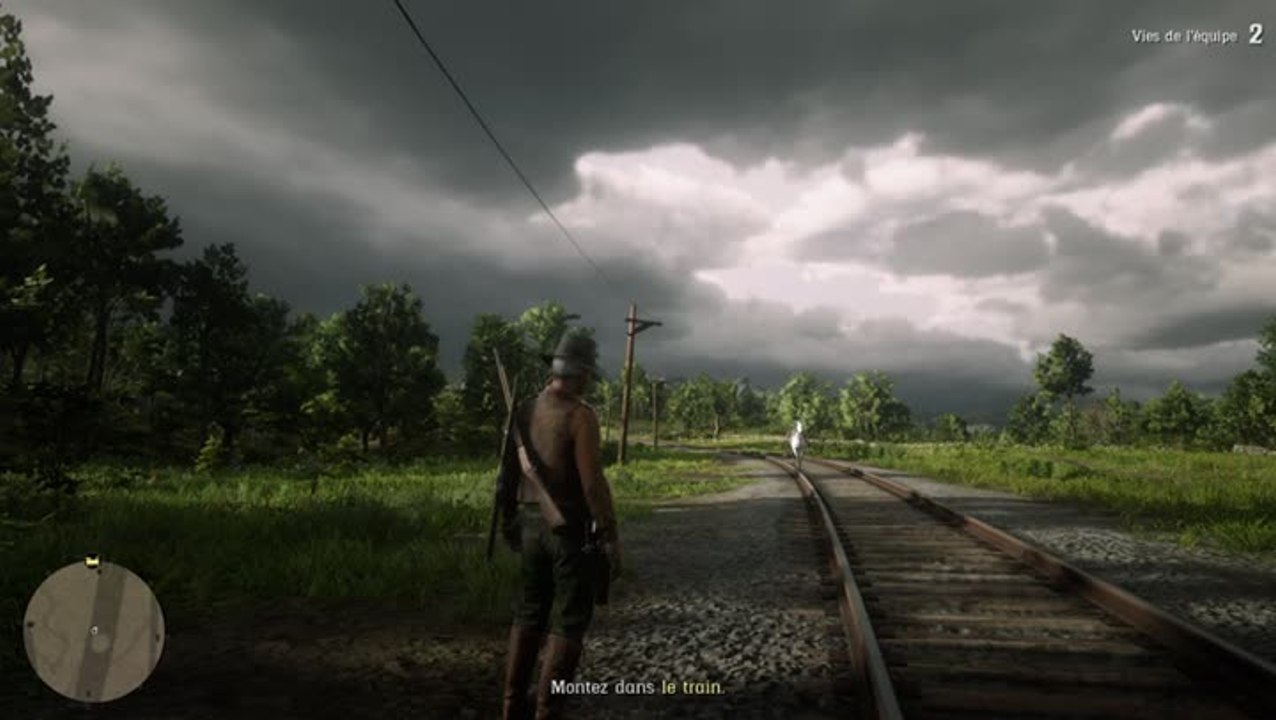 Red dead redemption 2 : Gold