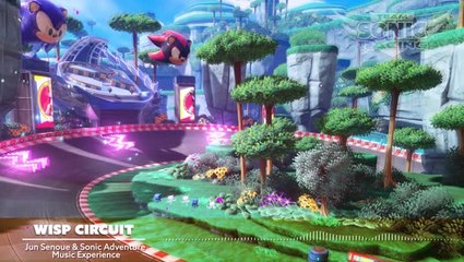 Team Sonic Racing OST Wisp Circuit