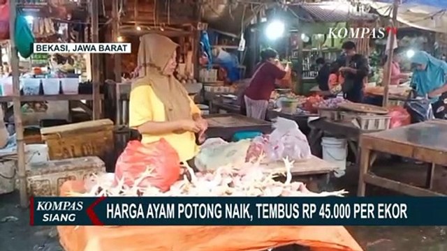 Pedagang dan Pembeli Keluhkan Harga Ayam Potong yang Tembus Rp 45.000 per Ekornya
