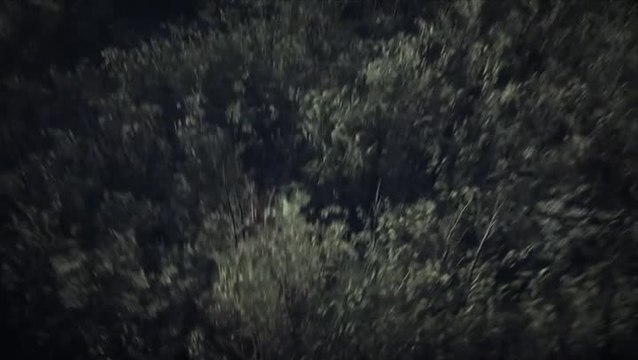 Blair Witch Reveal Trailer E3 2019