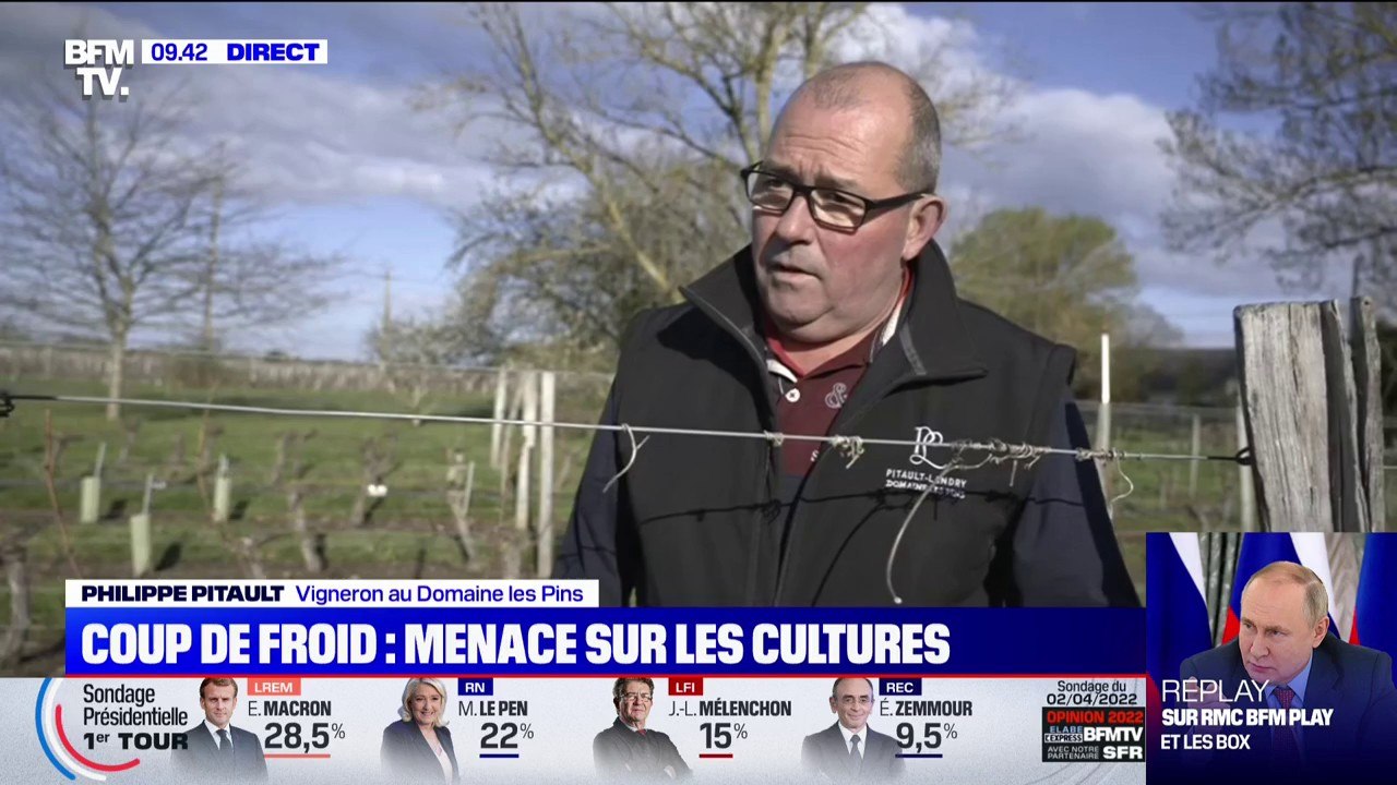 Vague de froid: ce vigneron en Indre-et-Loire u...