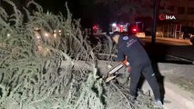 Bursa'da lodos nedeniyle ağaç devrildi, yol kapandı