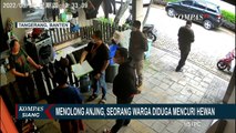 Viral! Niat Menolong Anjing, Perempuan Ini Dipolisikan oleh Pemilik Anjing