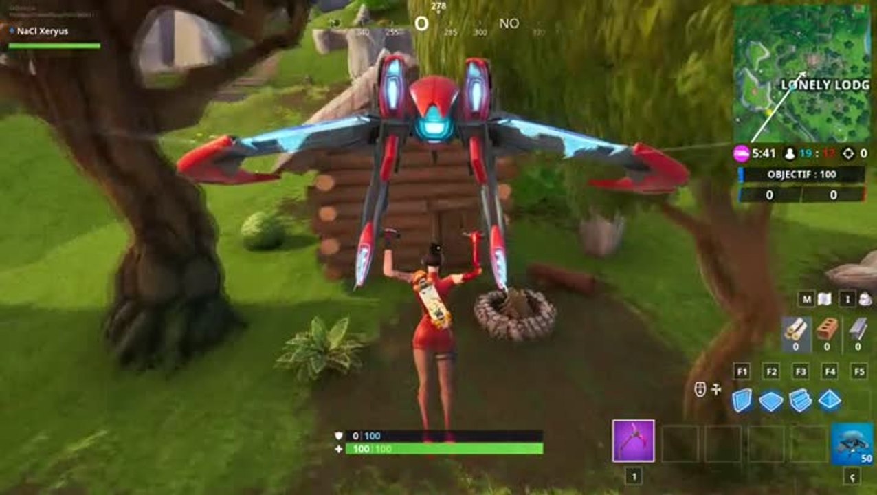 Fortnit : Puce 33