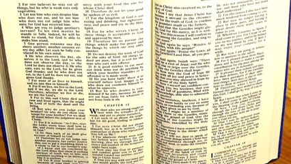 Romans 14, the New Testament, Bible