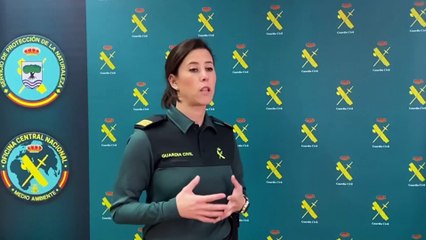 Desmantelan un grupo criminal dedicado a comercializar falso azafrán