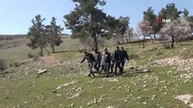 Gaziantep'te 25 yaşındaki genç ağaca asılı halde bulundu