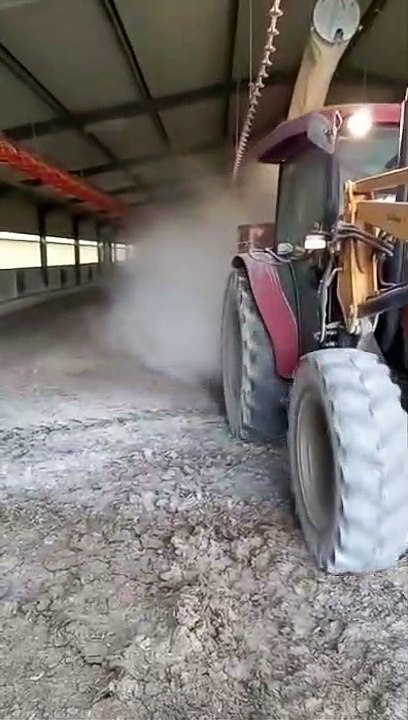 Los afectados por los brotes de gripe aviar en la Sierra Sur de Sevilla piden que alguien les dé soluciones ante la situación que están afrontando desde principios de año