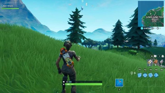 Fortnite, saison 10 : Faire atterrir une bouteille sur une cible près d'un poisson d'un lama ou d'un cochon géant (mission Dans le mille !)