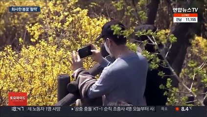 꽃샘추위 뚫고 봄꽃 북상…3년 만에 꽃길 개방