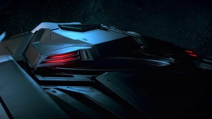 StarCitizen - RSIM Antis