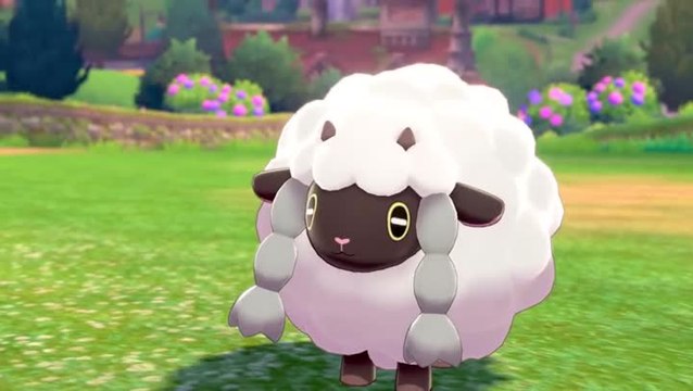 Pokémon Épée / Bouclier - Récap Pokémon de Galar