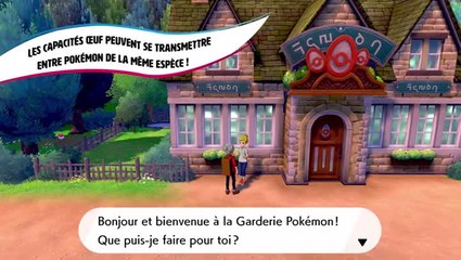 Pokémon Epée / Bouclier : Objets et Fonctionnalités