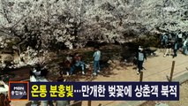4월 2일 MBN 종합뉴스 주요뉴스