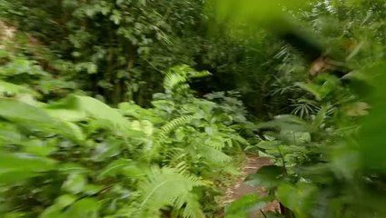 Fujii PSVR Announcement Trailer