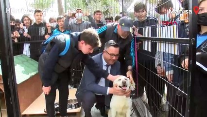 TSK'nın bomba arama köpeği afi öğrencilerin 'can dostu' oldu