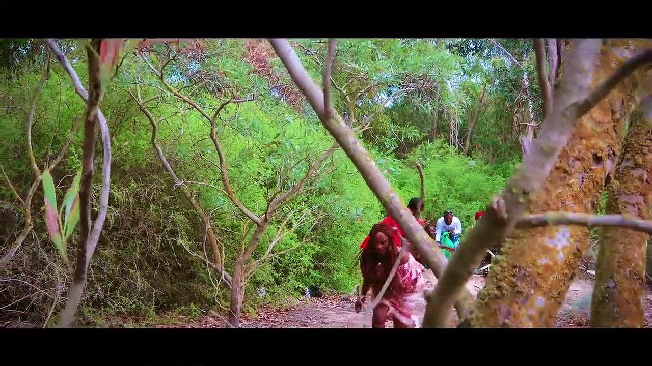 VDA - IMMIGRANT [CLIP OFFICIEL]