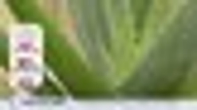 Miseoul Aloe Vera 1080.CHN.Mp4