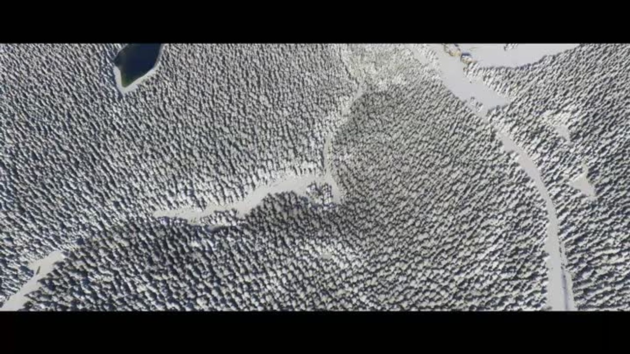 Microsoft Flight Simulator - Let it snow