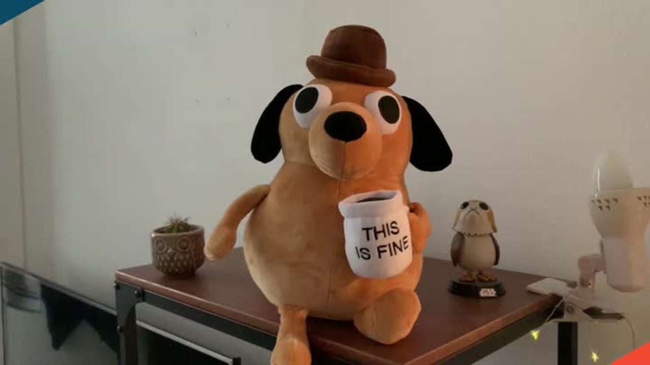 PC 521