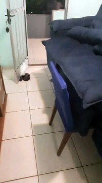 Casas foram invadidas pela água da chuva no Rio de Janeiro