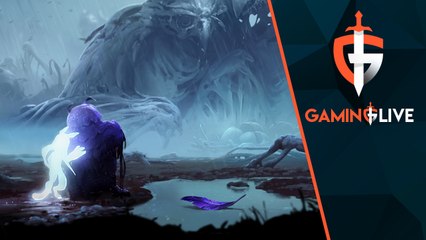 Gamin Live 1 de Ori 2