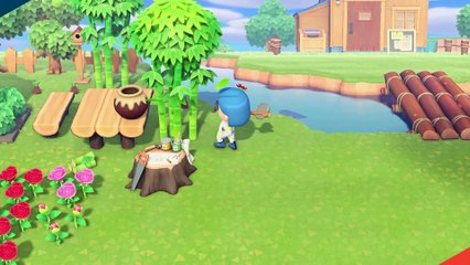 Vidéo test Animal Crossing