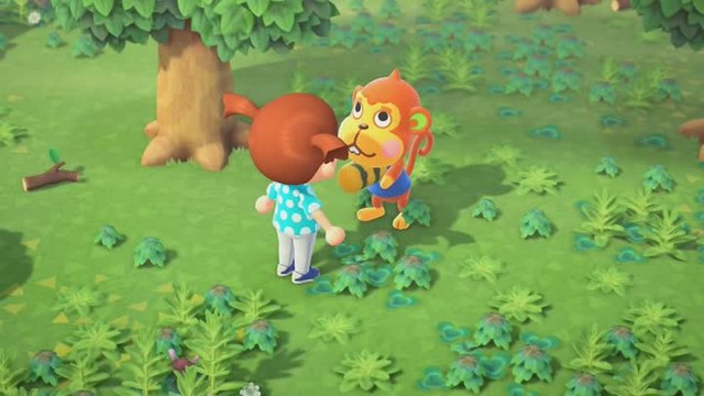 Animal Crossing New Horizons Votre Ile Votre Vie