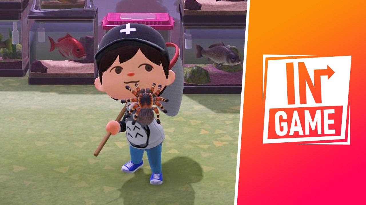 In Game Animal Crossing tarentules
