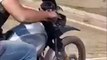Faire de la moto pieds nus  : mauvaise idée