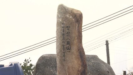 장산 정상 71년 만에 완전 개방...부산 전역 '한눈에' / YTN